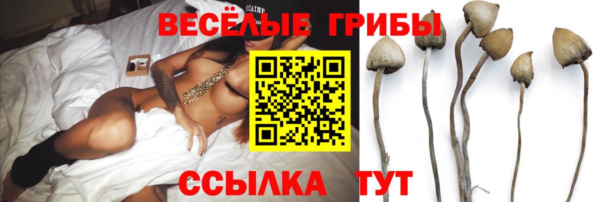 Нефтеюганск  наркота  Вход с VPN  Галлюциногенные грибы MAGIC MUSHROOMS 